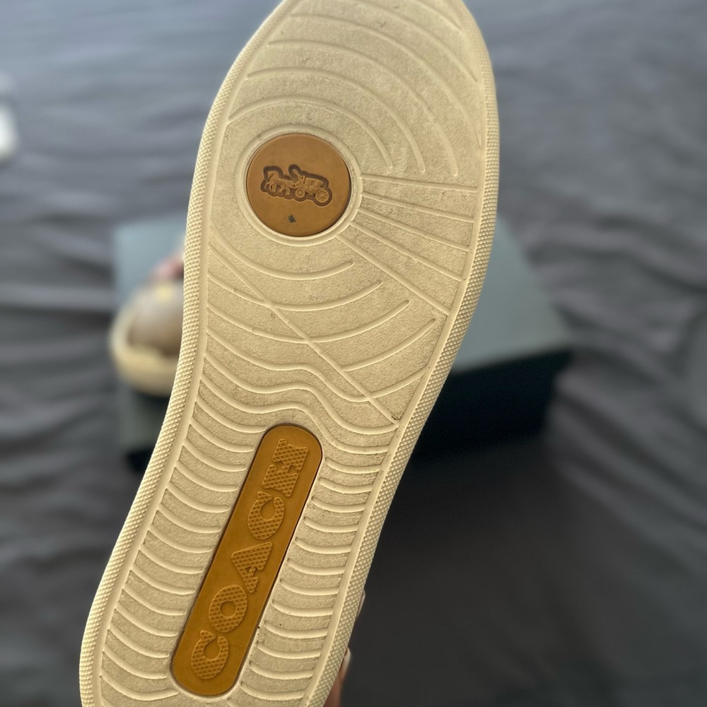 Coach X Peanuts Clip Low Top Sneaker - Picture 5 of 7